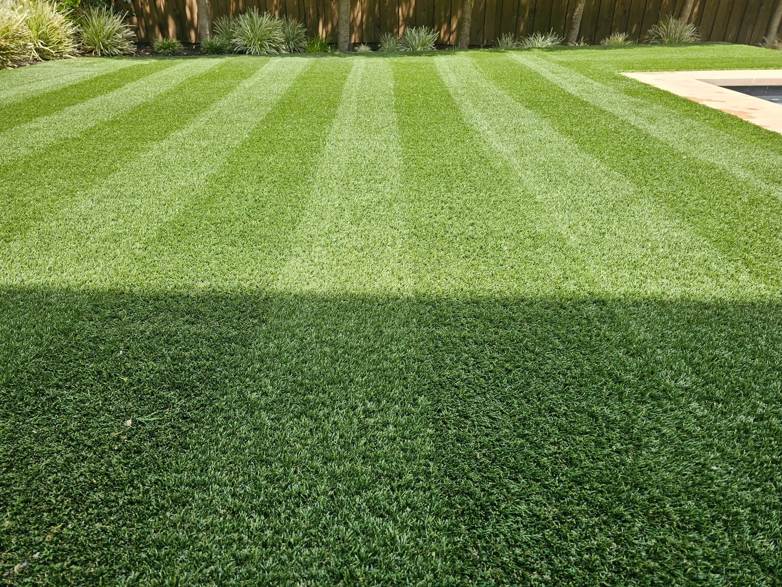 Turf cleaning service